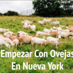 Screenshot 2024-09-30 at 2.20.20 PM